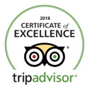 tripadvisor